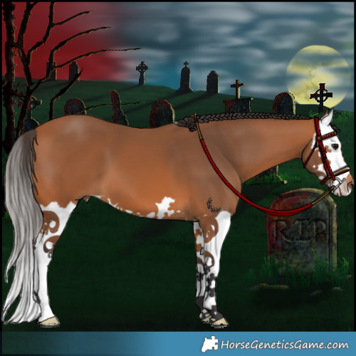 Horse Color:Bay Splash 