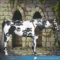Horse Color:Black Splash Tobiano 