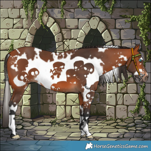 Horse Color:White Spotted Bay Frame