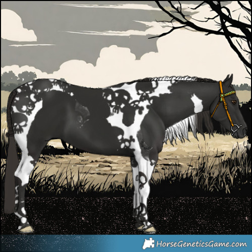 Horse Color:Liver Chestnut Tobiano 
