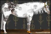 Horse Color:Liver Chestnut Sabino Splash Frame 