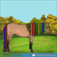 Horse Color:Painted Bay Dun