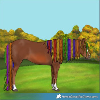 Horse Color:Painted Chestnut 