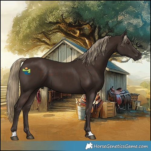 Horse Color:Liver Chestnut 