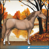 Horse Color:Black Pearl Sabino Tobiano