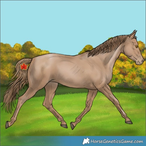 Horse Color:Black Pearl 