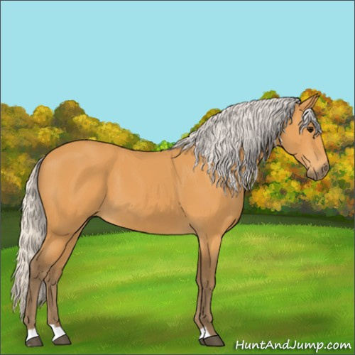 Horse Color:Silver Buckskin 