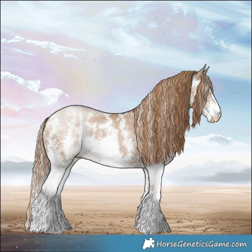Horse Color:Black Pearl Sabino 