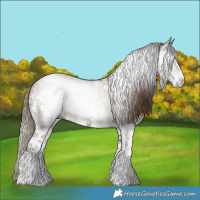 Horse Color:Gray Black Pearl Sabino 