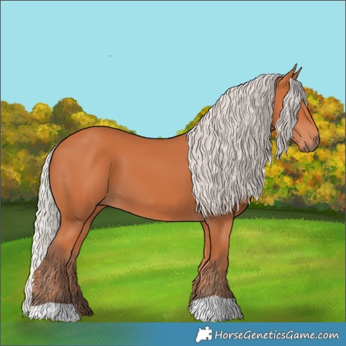 Horse Color:Silver Bay 