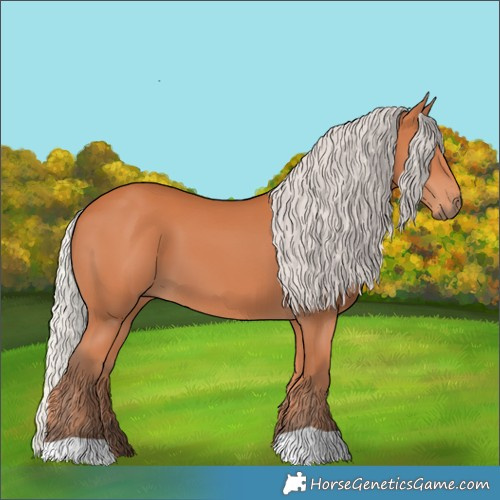 Horse Color:Silver Bay 