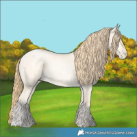 Horse Color:Buckskin Pearl Dun 