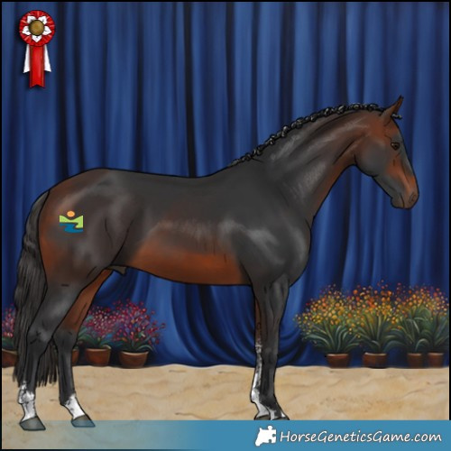 Horse Color:Bay Sabino 
