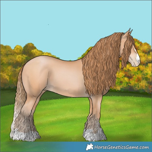Horse Color:Bay Pearl 