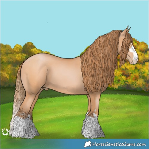 Horse Color:Bay Pearl 