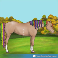Horse Color:Painted Black Pearl Sabino