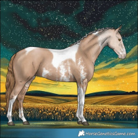 Horse Color:Black Pearl Sabino Tobiano