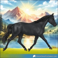 Horse Color:Black 