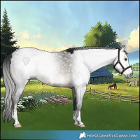 Horse Color:Gray Brown Dun Sabino