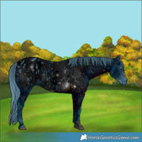 Horse Color:ERROR: UNKNOWN ANOMALY