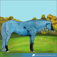 Horse Color:ERROR: UNKNOWN ANOMALY