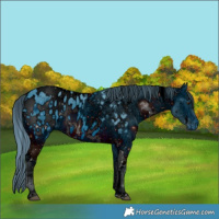 Horse Color:ERROR: UNKNOWN ANOMALY