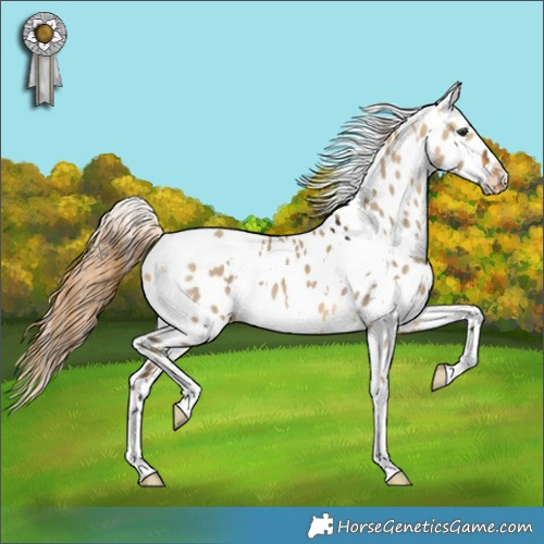 Horse Color:White Spotted Buckskin Dun Appaloosa 