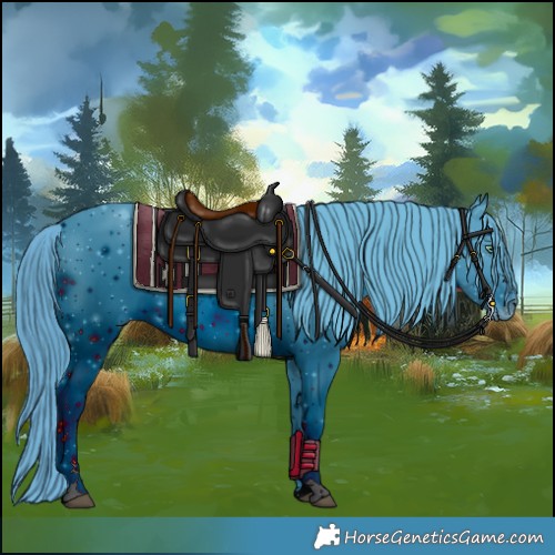 Horse Color:ERROR: UNKNOWN ANOMALY