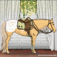 Horse Color:Palomino Appaloosa
