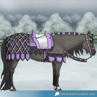 Horse Color:Grullo 