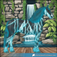 Horse Color:Thunderstruck Black 