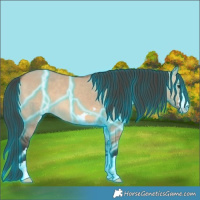 Horse Color:Thunderstruck Bay Dun