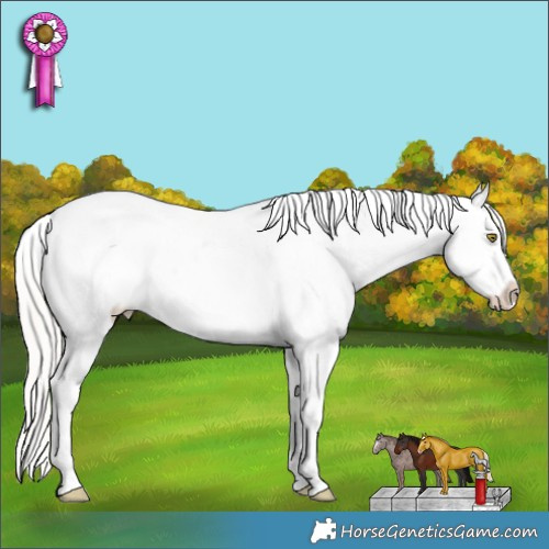 Horse Color:Silver Sable Champagne Splash Tobiano Appaloosa Rabicano 