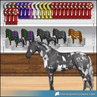 Horse Color:White Spotted Silver Smoky Black Chinchilla 