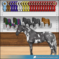 Horse Color:White Spotted Silver Smoky Black Chinchilla 