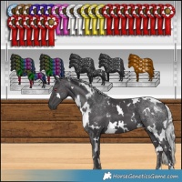 Horse Color:White Spotted Silver Smoky Black Chinchilla 