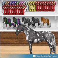 Horse Color:White Spotted Silver Smoky Black Chinchilla