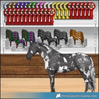 Horse Color:White Spotted Silver Smoky Black Chinchilla 