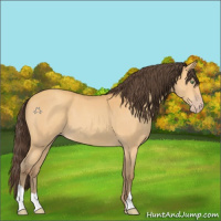 Horse Color:Sable Cream Champagne Roan 