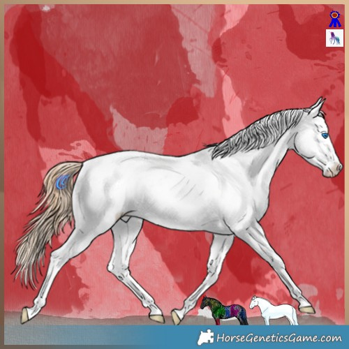 Horse Color:Gold Champagne Ice Dun Splash Tobiano Appaloosa Rabicano 