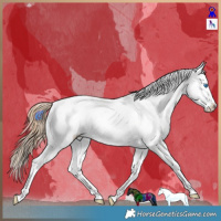 Horse Color:Gold Champagne Ice Dun Splash Tobiano Varnish Rabicano 
