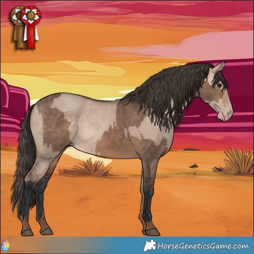 Horse Color:Brown Dun  and Sable Champagne Dun 