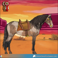 Horse Color:Brown Dun  and Sable Champagne Dun 