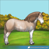 Horse Color:Black Pearl Sabino 