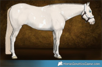Horse Color:White Spotted Smoky Creme Dun 
