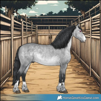 Horse Color:Bay Chinchilla 