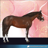 Horse Color:Liver Chestnut Sabino