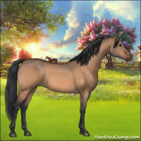 Horse Color:Brown Dun