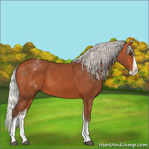 Horse Color:White Spotted Silver Bay Splash