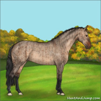Horse Color:Bay Dun  and Brown Dun 